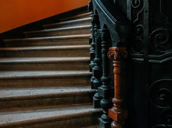 Магия «Ромашки». Экскурсия с посещением парадной доходного дома Елисеевых