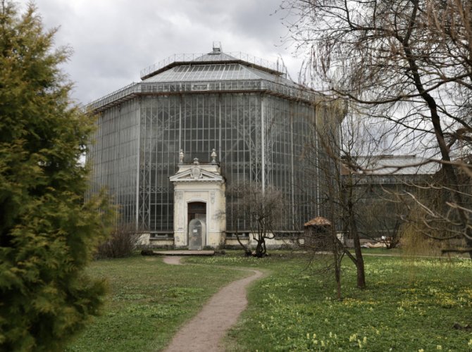 «Хрустальный дворец» для Виктории Амазонской: экскурсия по ботаническому саду Петра Великого