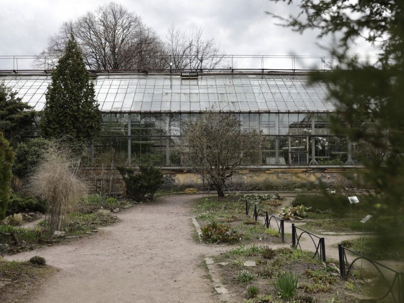 «Хрустальный дворец» для Виктории Амазонской: экскурсия по ботаническому саду Петра Великого
